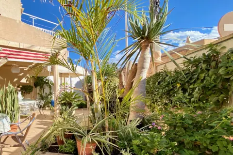 Vila Torrevieja, miniatiūra 15