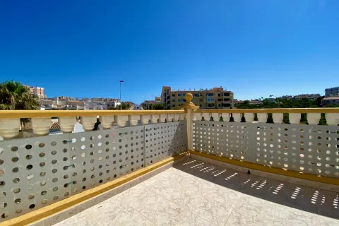 Butas Torrevieja, miniatiūra 10