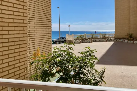Butas Torrevieja, miniatiūra 2