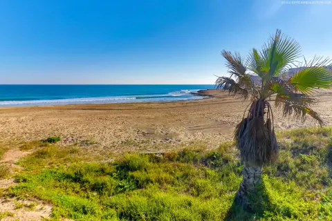 Kotedžas Torrevieja, miniatiūra 15