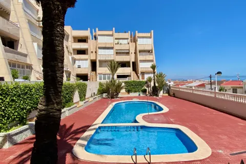 Korter / bangalo — Torrevieja – Lomas del Mar, Hispaania