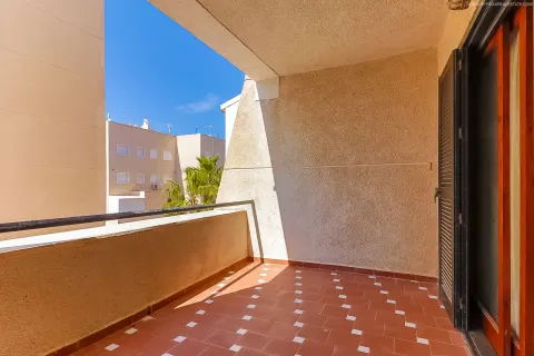 Butas Torrevieja, miniatiūra 12