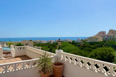 Kotedžas Torrevieja, miniatiūra 6