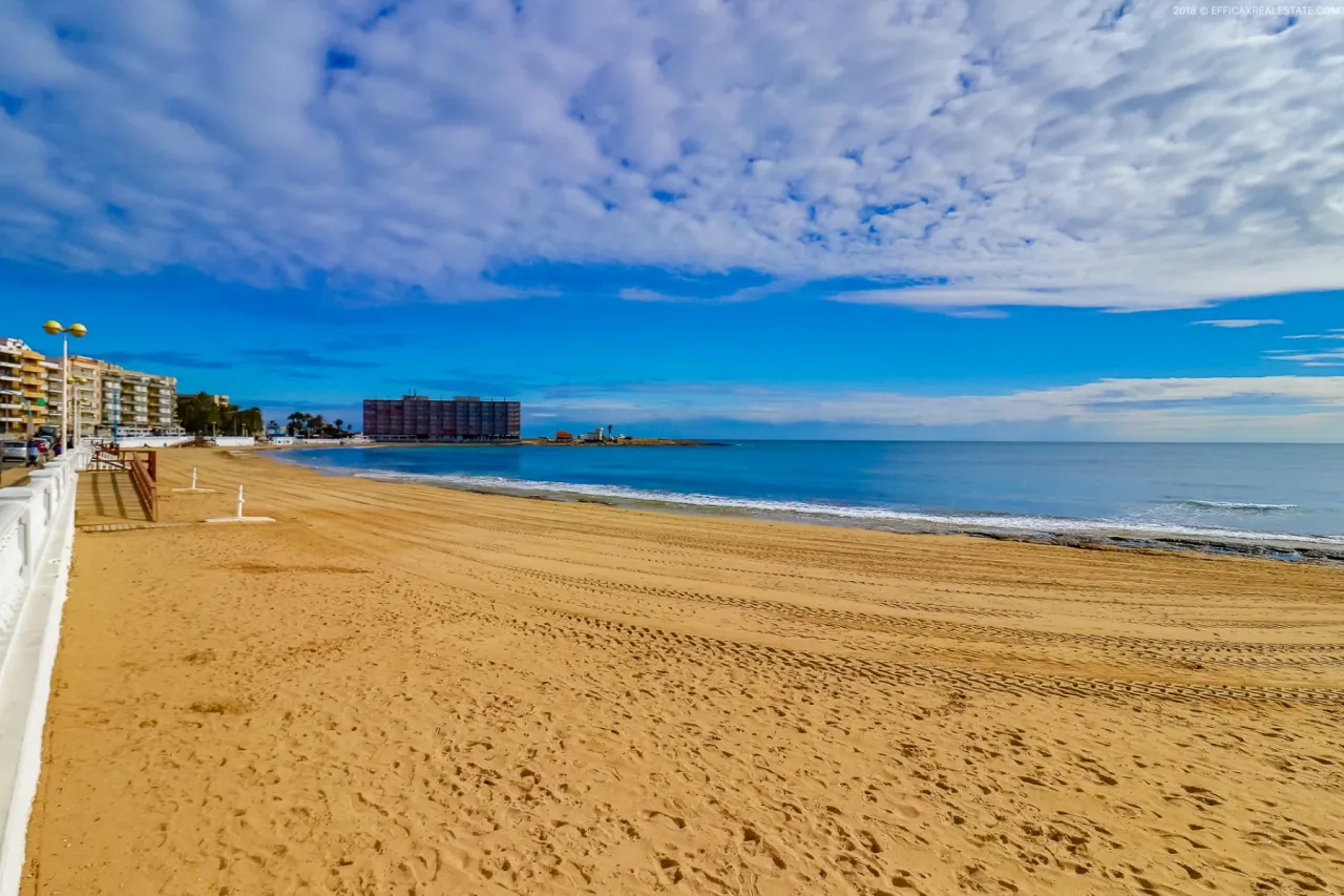 Butas / bungalas — Torrevieja – Los Locos, nuotrauka 1 iš 15