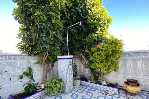Kotedžas Torrevieja, miniatiūra 4