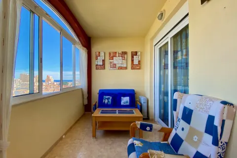 Butas Torrevieja, miniatiūra 6