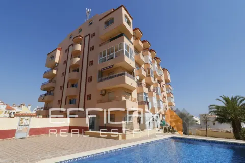 Butas Torrevieja, miniatiūra 8