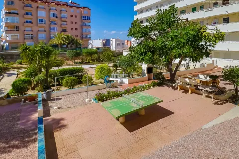 Butas Torrevieja, miniatiūra 10