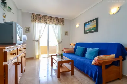 Butas Torrevieja, miniatiūra 14