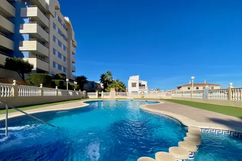 Butas Torrevieja, miniatiūra 2