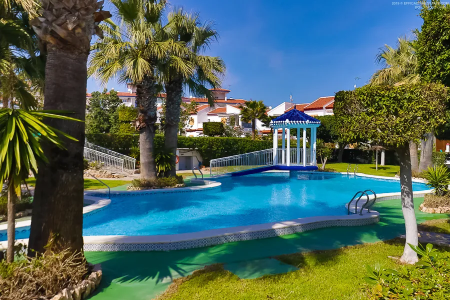 Butas / bungalas — Torrevieja – Molino Blanco, nuotrauka 1 iš 15