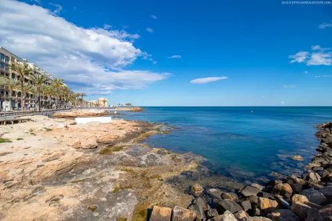 Butas Torrevieja, miniatiūra 13