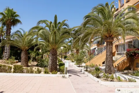 Butas Torrevieja, miniatiūra 13