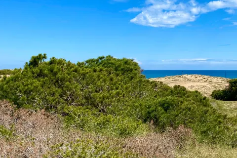 Dzīvoklis Torrevieja, sīktēls 11