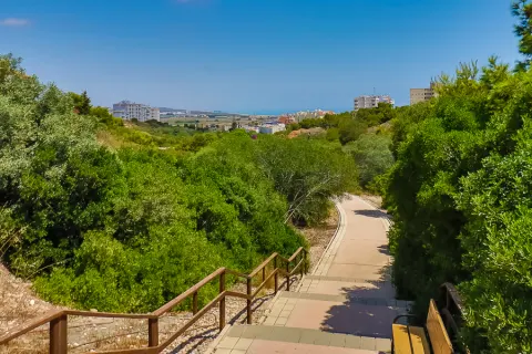 Butas Torrevieja, miniatiūra 13