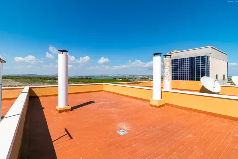 Butas Torrevieja, miniatiūra 11