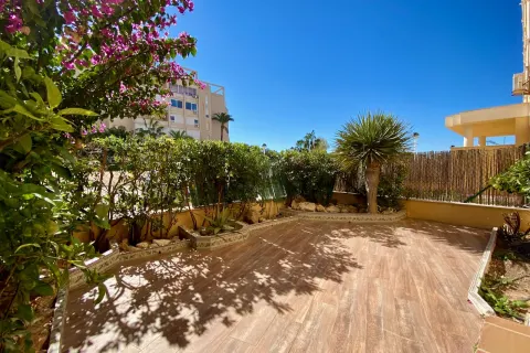 Butas Torrevieja, miniatiūra 6