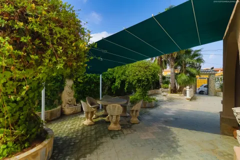 Villa Torrevieja, sīktēls 11