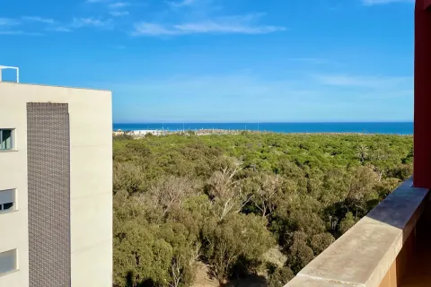 Butas Guardamar del Segura, miniatiūra 4