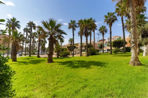 Butas Torrevieja, miniatiūra 13