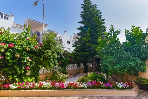 Vila Torrevieja, miniatiūra 9