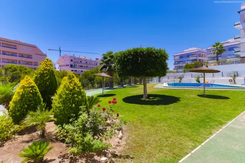 Kotedžas Orihuela Costa, miniatiūra 6