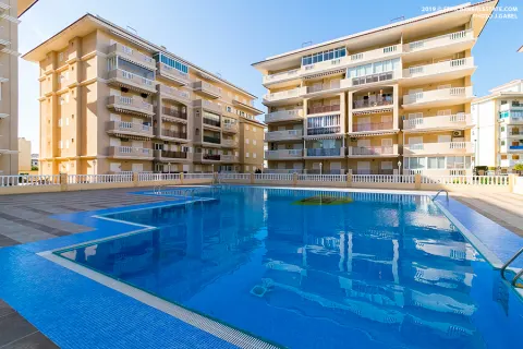 Korter / bangalo — Torrevieja – La Mata, Hispaania