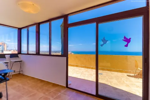 Butas Torrevieja, miniatiūra 11