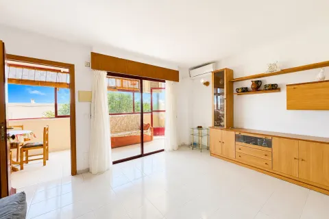 Dzīvoklis Torrevieja, sīktēls 4