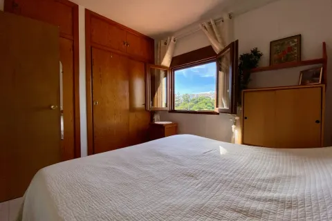Butas Torrevieja, miniatiūra 12