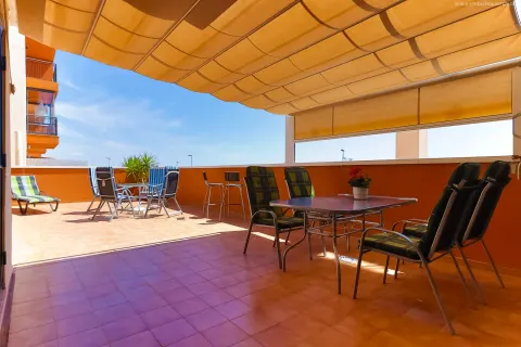 Korter / bangalo — Orihuela Costa – Playa Flamenca, Hispaania