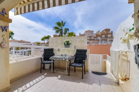 Butas Torrevieja, miniatiūra 2