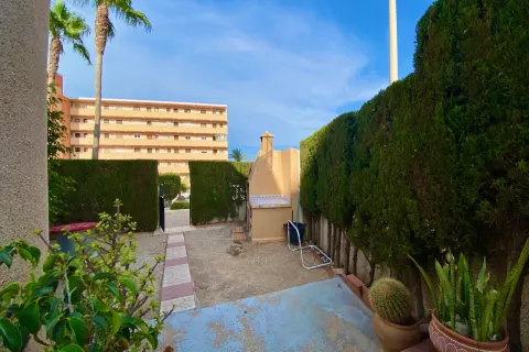 Butas Torrevieja, miniatiūra 6