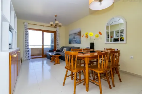 Butas Torrevieja, miniatiūra 4