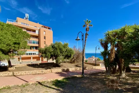 Dzīvoklis Torrevieja, sīktēls 2