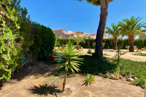 Butas Torrevieja, miniatiūra 9