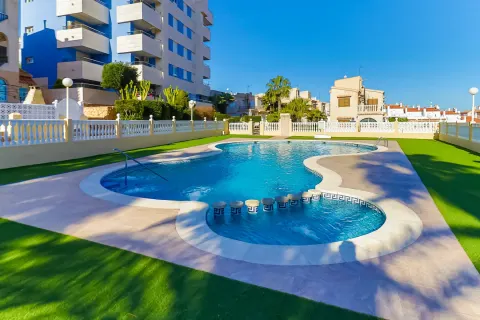 Butas Torrevieja, miniatiūra 8
