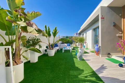 Villa Torrevieja, sīktēls 13