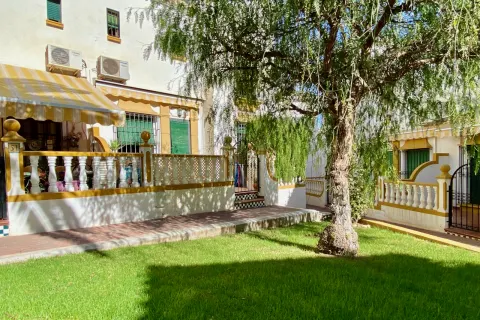 Butas Torrevieja, miniatiūra 2