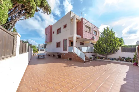 Vila Torrevieja, miniatiūra 15