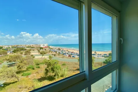 Butas Torrevieja, miniatiūra 10