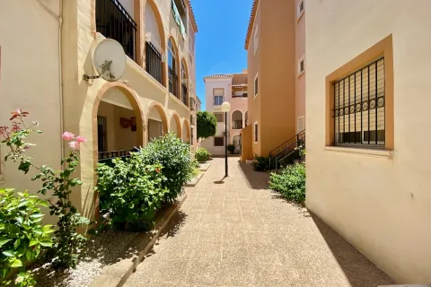 Dzīvoklis Torrevieja, sīktēls 8
