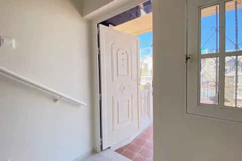 Villa Torrevieja, sīktēls 14