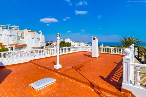 Kotedžas Torrevieja, miniatiūra 3