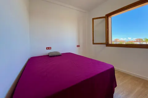 Kotedžas Torrevieja, miniatiūra 14
