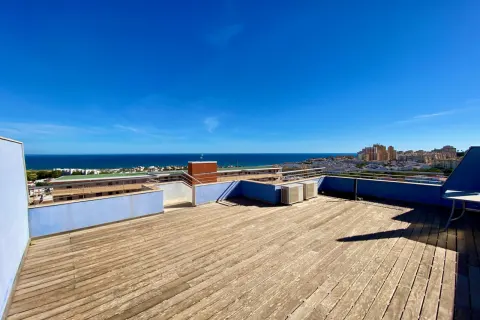Butas Torrevieja, miniatiūra 12