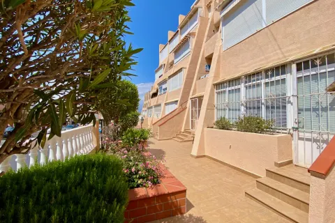 Butas Torrevieja, miniatiūra 4