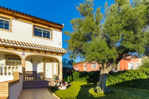 Villa Torrevieja, sīktēls 6