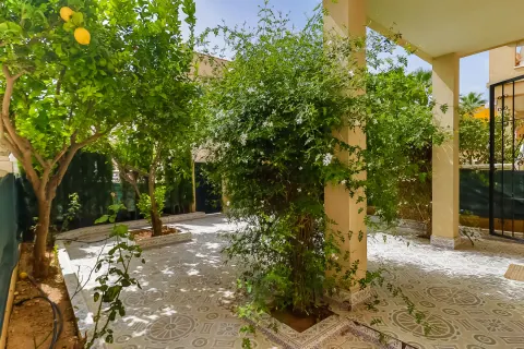 Kotedžas Torrevieja, miniatiūra 10