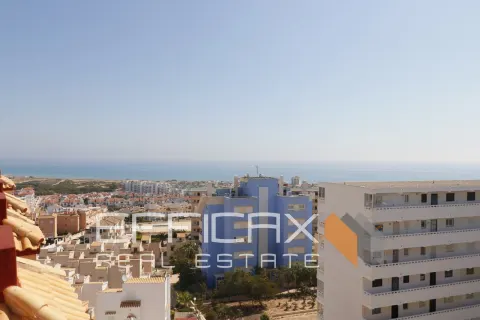 Butas Torrevieja, miniatiūra 12
